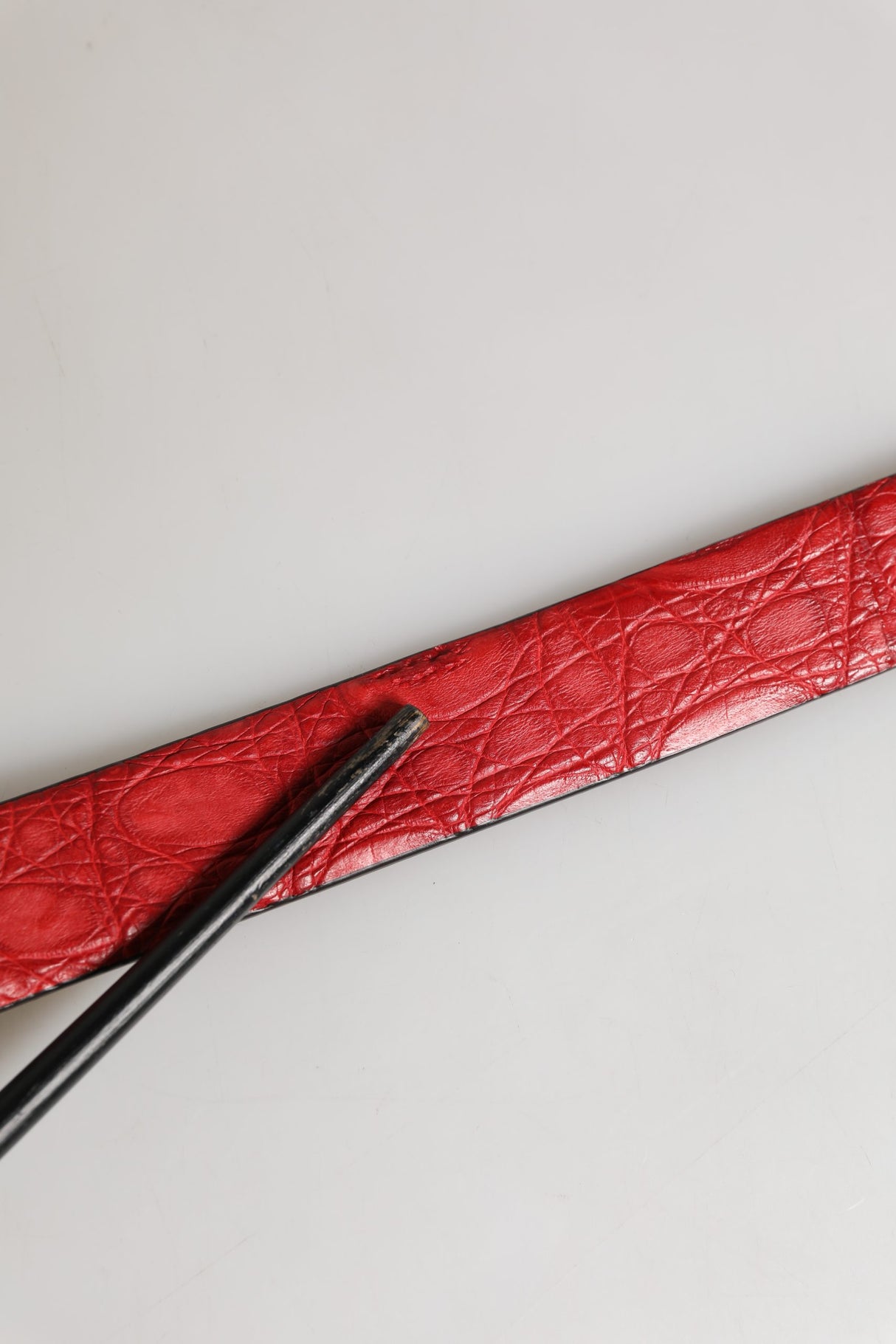 Dolce & Gabbana Men Red Exotic Leather Metal Buckle Belt