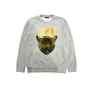 Cavalli Class Gray Polyester Men Hoodie