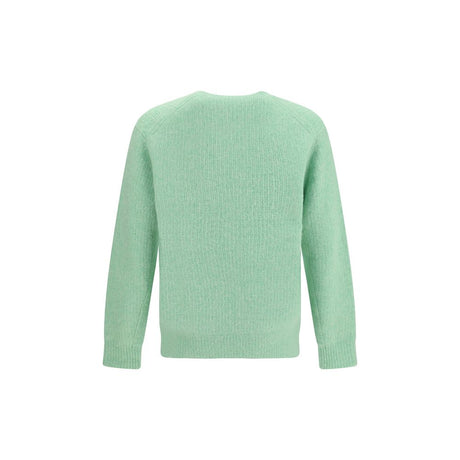 Sunflower Bicolor Alpaca Vicugna Pacos Sweatshirt