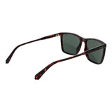 Polaroid Brown Polycarbonate Sunglasses
