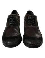 Dolce & Gabbana Elegant Brown Velvet Oxford Lace-up Shoes