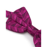 Dolce & Gabbana Fuchsia Silk Ties & Bowty