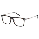 Pierre Cardin Bicolor Haircalf Frames