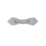 Dolce & Gabbana Silver Silk Ties & Bowty