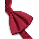 Dolce & Gabbana Red Silk Ties & Bowty