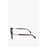 David Beckham Brown Haircalf Sunglass
