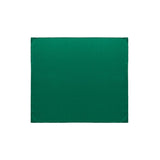 Dolce & Gabbana Green Silk Pocket Square