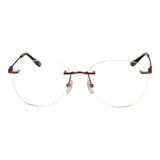 BMW Bronze Men Optical Frames